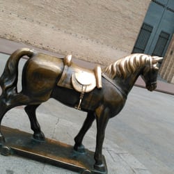 Caballito - Esperando la siguiente foto