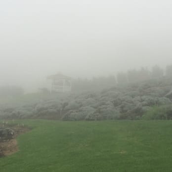 Ali'i Kula Lavender - Tours Near Me - Kula, Hawaii