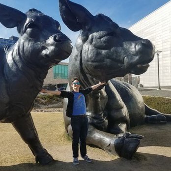 Scottish Angus Cow and Calf - Landmarks & Historical Buildings Near Me - Denver, Colorado Scottish Angus Cow and Calf - Landmarks & Historical Buildings Near Me - Denver, Colorado