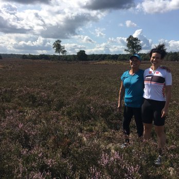 Holland Bike Tours - Bike tours Near Me - Haarlem, New Hampshire