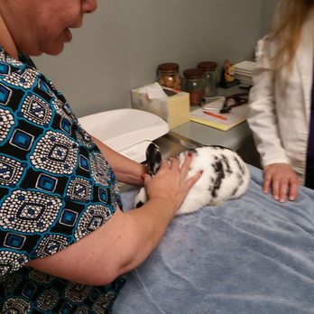 Acorn Veterinary Clinic - Great instruction on care. - Veterinarians Near Me - Davis, California Acorn Veterinary Clinic - Great instruction on care. - Veterinarians Near Me - Davis, California