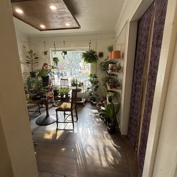 Dirt Bag - Nurseries & Gardening Near Me - Houston, Texas Dirt Bag - Nurseries & Gardening Near Me - Houston, Texas
