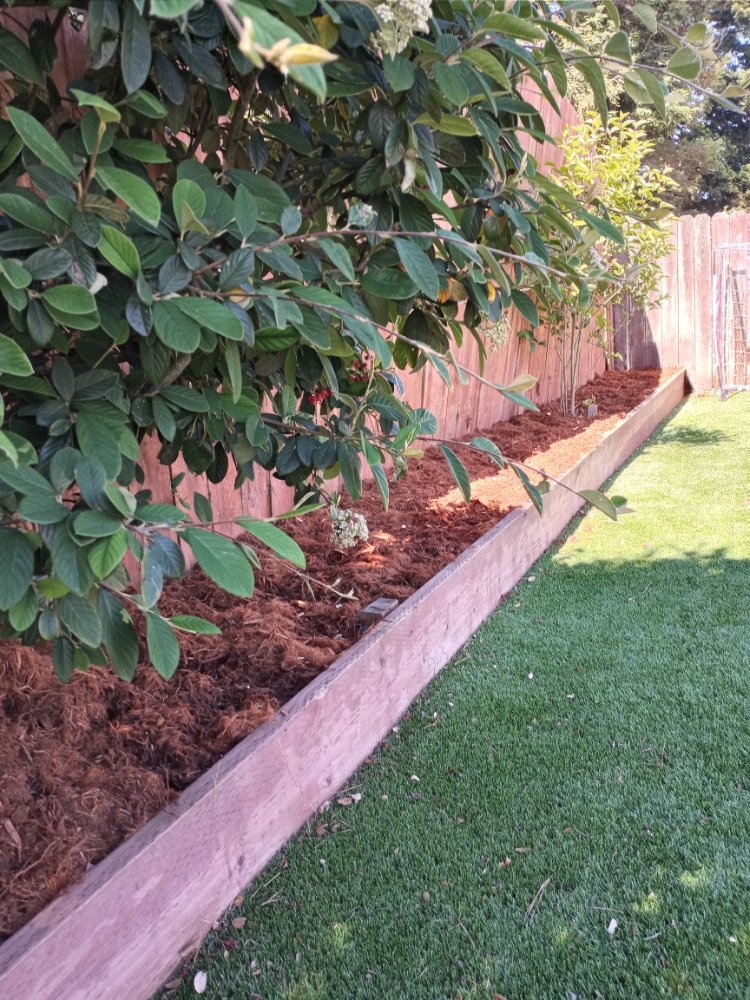 Bay Roots Landscape project