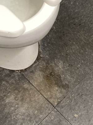 CVS PHARMACY - Updated January 2026 - 14 Photos - 409 E Main St ...