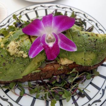 Dior - Avocado toast - Men's Clothing Near Me - Miami, Florida Dior - Avocado toast - Men's Clothing Near Me - Miami, Florida