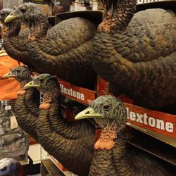 Bass Pro Shops - Wut you lookin at ?