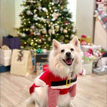 PetWellClinic - Paramus - Veterinarians Near Me - Paramus, New Jersey PetWellClinic - Paramus - Veterinarians Near Me - Paramus, New Jersey