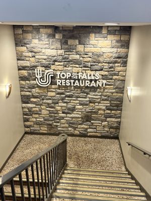 Top of the Falls by null