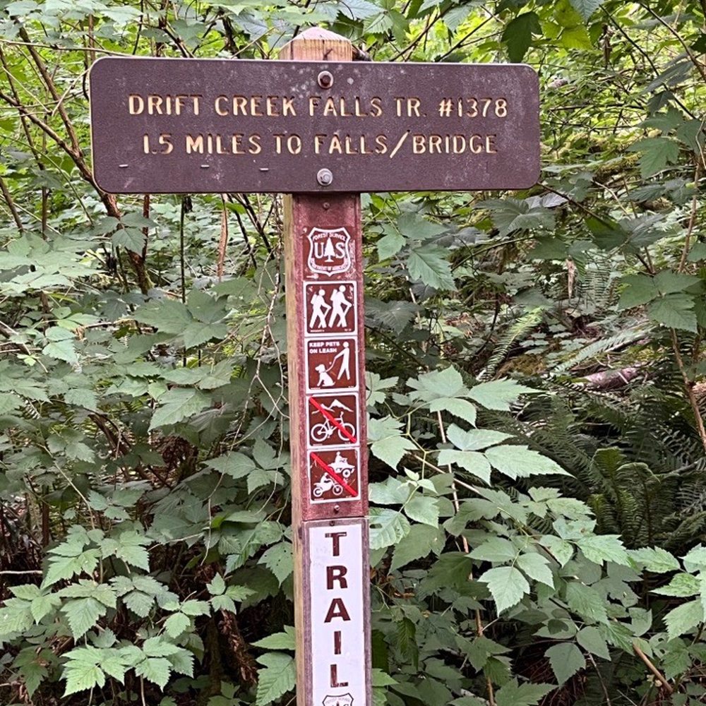 Drift Creek Fall And Bridge - Signage - Hiking Near Me - Otis, Oregon Drift Creek Fall And Bridge - Signage - Hiking Near Me - Otis, Oregon