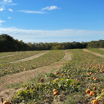 Ashland Berry Farm - Nurseries & Gardening Near Me - Henrico, Virginia