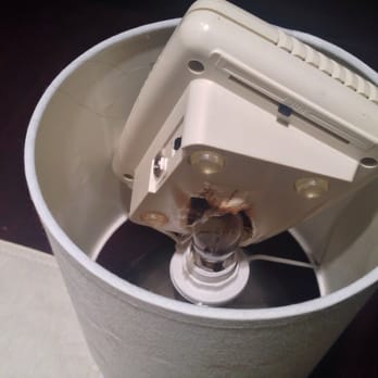 MaidPro - maid pro trying to burn down the house! - Home Cleaning Near Me - Dedham, Massachusetts