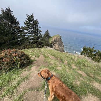 God’s Thumb Trail - Gods Thumb viewpoint - Hiking Near Me - Lincoln City, Oregon