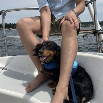 Lets go Sailing - Sailing Near Me - Burlington, Vermont Lets go Sailing - Sailing Near Me - Burlington, Vermont