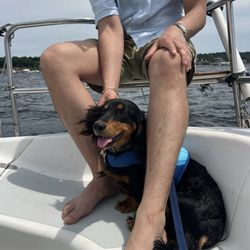 Lets go Sailing