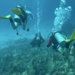 Scuba Total Cancun - Kids following Fabio