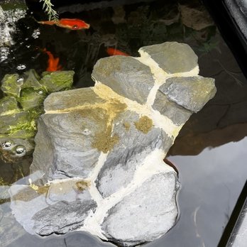 Infinity Aquarium Design - Aquarium Services Near Me Infinity Aquarium Design - Aquarium Services Near Me