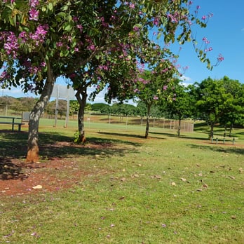 Patsy T. Mink Central Oahu Regional Park - Parks Near Me - Waipahu, Hawaii