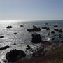 Photo of Pacific Coast Highway