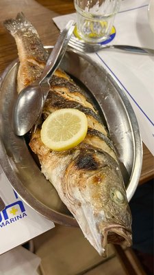 Adega da Marina by null