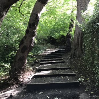 Easter Craiglockhart Hill Local Nature Reserve - Active Life Near Me - Edinburgh, MLN