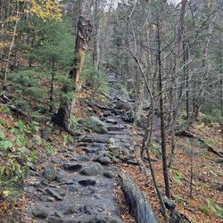 Bald Mountain/artists Bluff