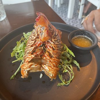 Xantolo - Lobster - Mexican Near Me - Isla Mujeres, ROO Xantolo - Lobster - Mexican Near Me - Isla Mujeres, ROO