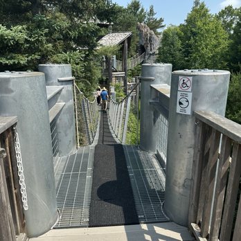 The Wild Center - Museums Near Me - Tupper Lake, New York