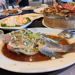 Signature Palace Restaurant - Fish