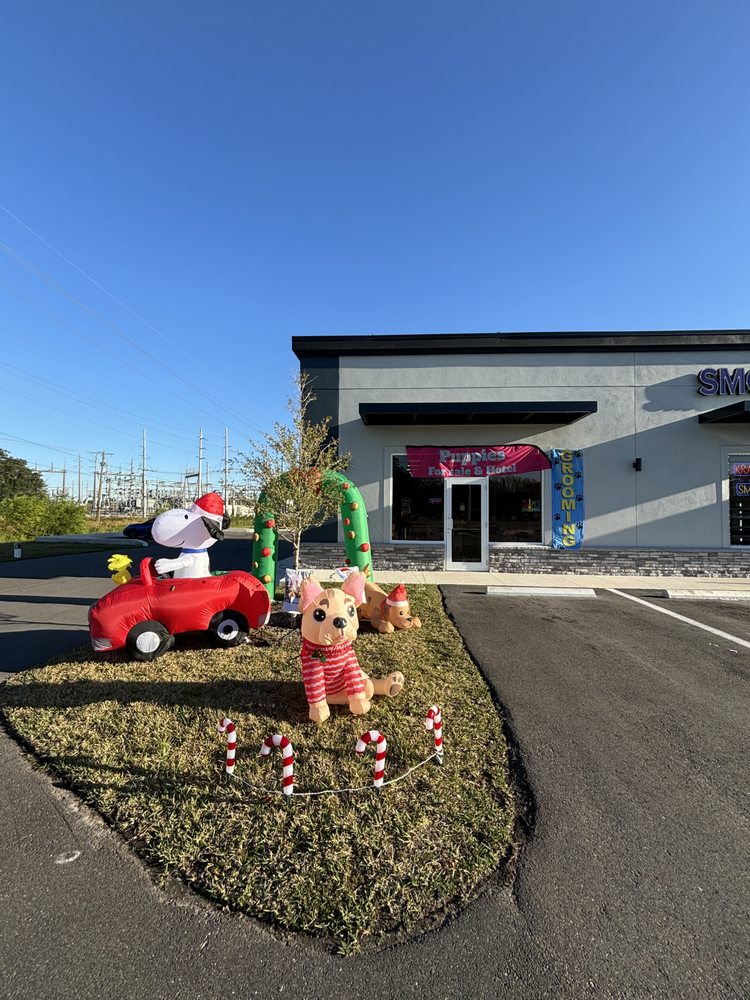 Le Puppy Palace Image