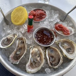 East coast oysters East coast oysters