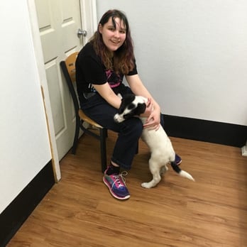 Pets Plus Natural - This is the dog that I was talking about in my post it was like at first sight - Pet Stores Near Me - Lansdale, Pennsylvania Pets Plus Natural - This is the dog that I was talking about in my post it was like at first sight - Pet Stores Near Me - Lansdale, Pennsylvania