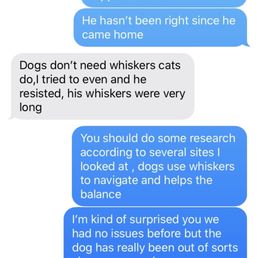 Text conversation with Puppy Cutz Text conversation with Puppy Cutz