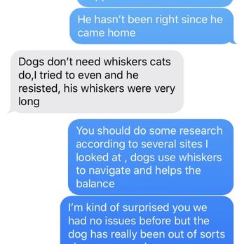 Puppy Cutz - Text conversation with Puppy Cutz - Pet Groomers Near Me - Hicksville, New York Puppy Cutz - Text conversation with Puppy Cutz - Pet Groomers Near Me - Hicksville, New York