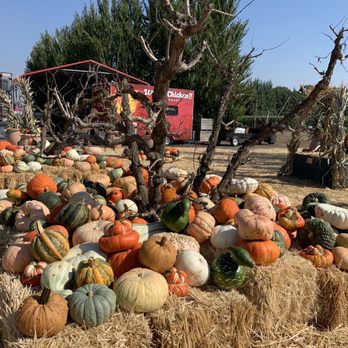 Larry's Produce - Pumpkin - Fruits & Veggies Near Me - Fairfield, California Larry's Produce - Pumpkin - Fruits & Veggies Near Me - Fairfield, California