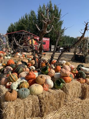 Larry's Produce by null