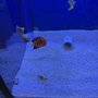 Photo of Lighthouse Aquatics