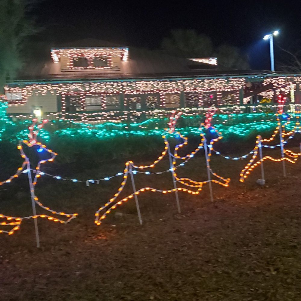 Donnelly Park - Parks Near Me - Mount Dora, Florida