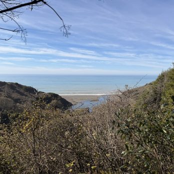 Redwood Forest Foundation - Usal beach - Hiking Near Me - Fort Bragg, California