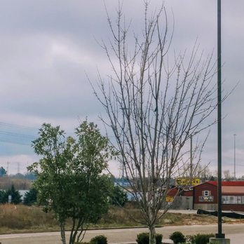 Pilot Travel Center - a plane taking off from the runway - Gas Stations Near Me - Jackson, Tennessee