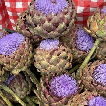 Aptos Farmers Market - Artichoke flowers. - Fruits & Veggies Near Me - Aptos, California