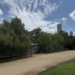 Vic Mathias Shores