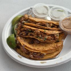 Tortas Y Tacos Mollo Y Rifle
