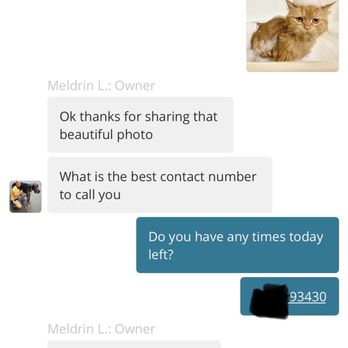 Wanderer Hub Pet Salon - Conversation with owner - Dog Walkers Near Me - New York, New York Wanderer Hub Pet Salon - Conversation with owner - Dog Walkers Near Me - New York, New York