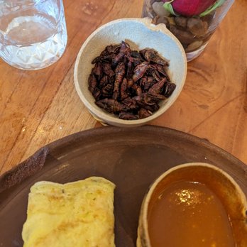 Xaman Cafe - Crickets! Forgot the Spanish term for them - Cafes Near Me - Dallas, Texas