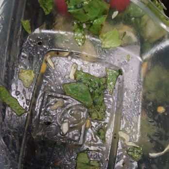 Chick-fil-A - A roach - Fast Food Near Me - Sunrise, Florida Chick-fil-A - A roach - Fast Food Near Me - Sunrise, Florida
