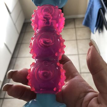 Ross Dress for Less - Cool dog toy - Women's Clothing Near Me - Northridge, California