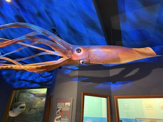 Santa Barbara Museum of Natural History by null