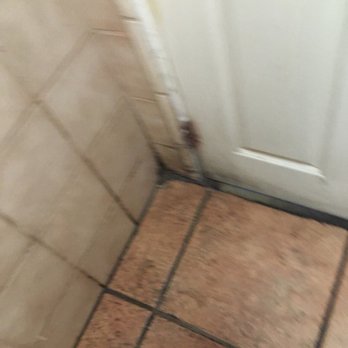 El Taco Llama - More disgusting dirt - Mexican Near Me - Panorama City, California El Taco Llama - More disgusting dirt - Mexican Near Me - Panorama City, California