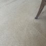 Photo of Mighty Mac Carpet & Upholstery Cleaning