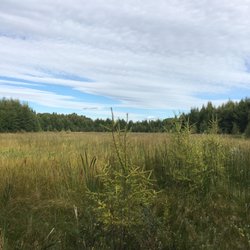 Bunchberry Meadows Conservation Area